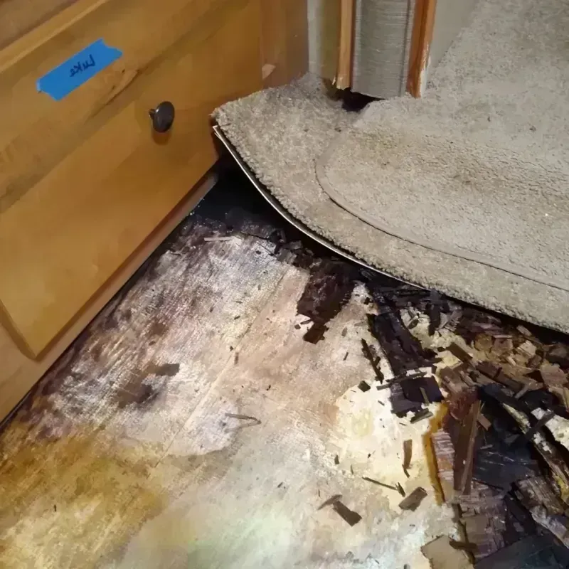 Wood Floor Water Damage in Lander County, NV